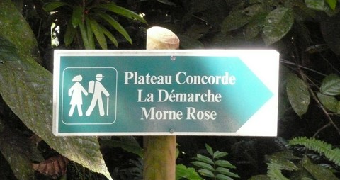 Plateau Concorde, La Démarche, Morne Rose.