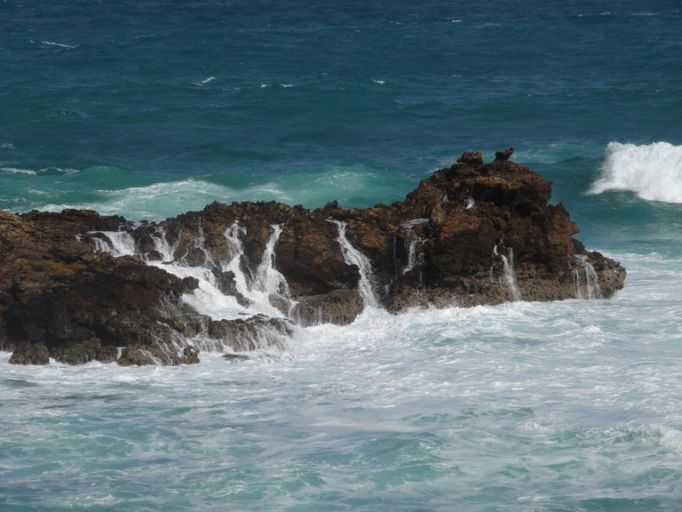 voile de la marié.