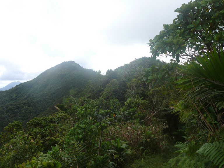 Le Petit Jacob (sur la droite) -  Le Morne Jacob culminant.