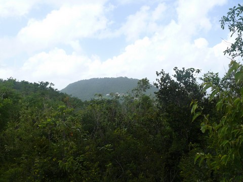 Morne Charles Pieds , point culminant à 115 mètres.