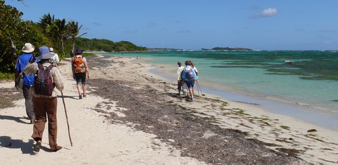 l'Anse au bois