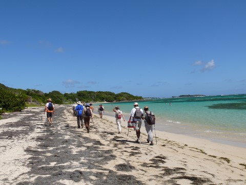 l'Anse au Bois