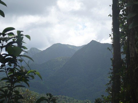 Les pitons du Carbets.