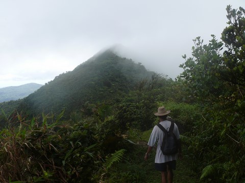 Depuis le Petit Jacob: Le Morne Jacob.